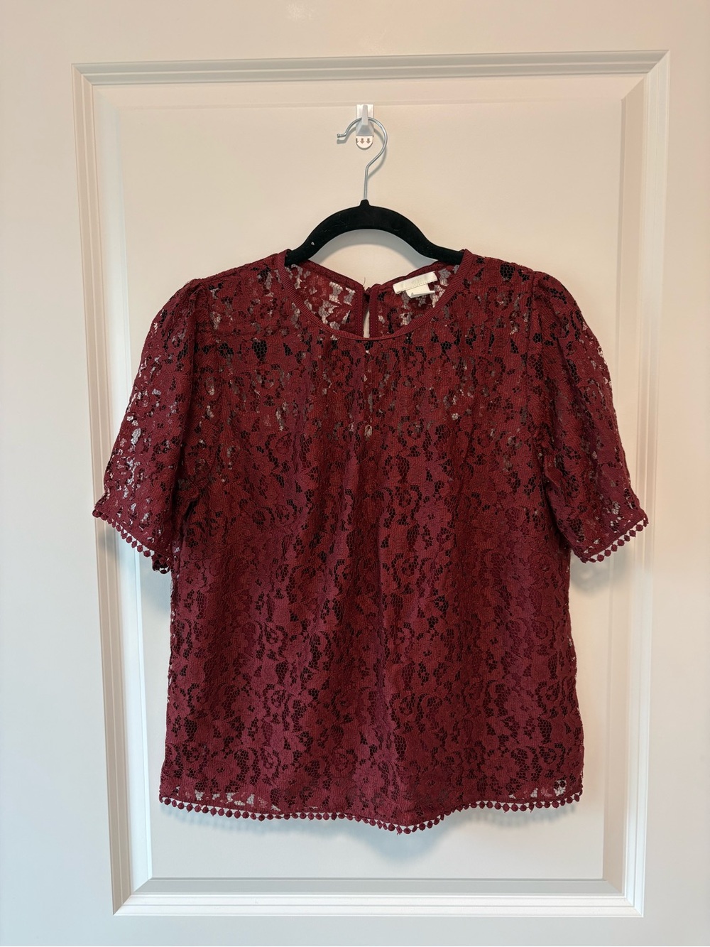 H&M Wine Lace Short Sleeve Blouse